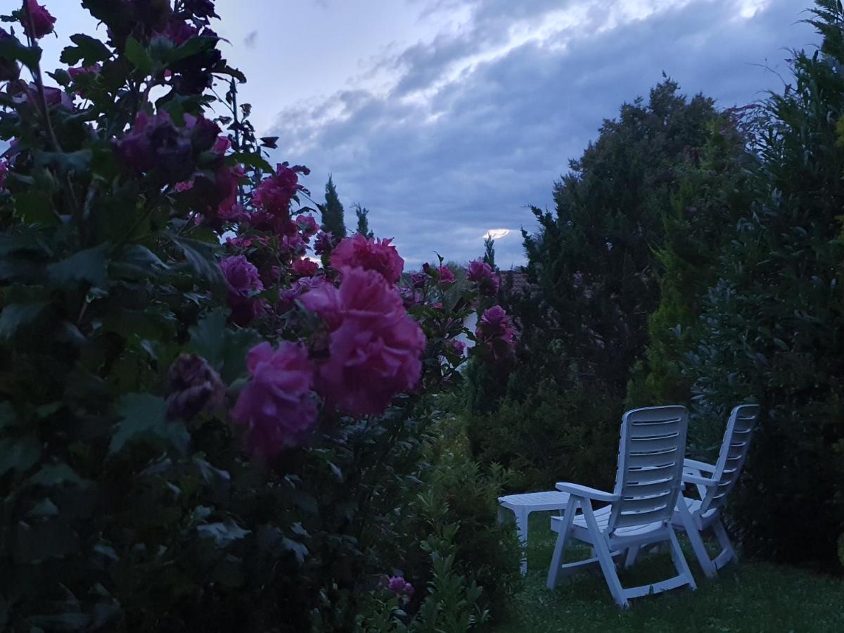 Villa Maja Markdorf Eksteriør billede